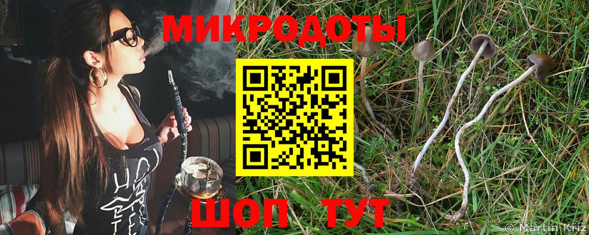 Галлюциногенные грибы мицелий Партизанск